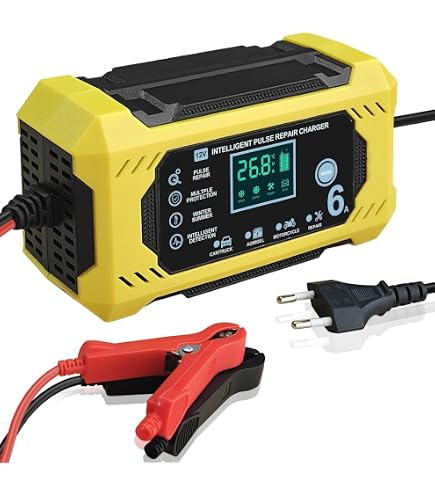 Caricabatterie Automatico Per Batterie Al Piombo 2V, 6V, 12V - Codice 5039 - copertina