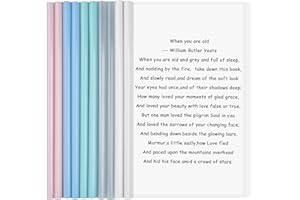 10 Feuilles A4 Dossier de Fichiers, Plastique Chemise de Couvertures de Rapports, A4 Reliure Présentation Dossier avec Barre Coulissante pour Accueil École Bureau Documents Organisateur (B)