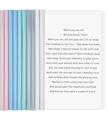 10 Copertine Per Documenti A4 Con Barra Scorrevole - Trasparenti E Pratiche! - Foto 2