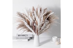 ‎APOMKJOE Pampasgras Getrocknet, 80pcs Natürliche Pampasgras Dekor, Boho Trockenblumenstrauß Wohnzimmer Dekoration, Blumen Arrangements Heim Decor und Herbstdekoration
