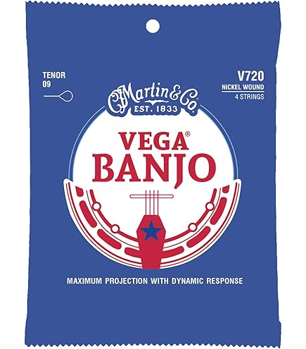 Lot De 4 Crochets écrous Pour Banjo, Accessoires Pour