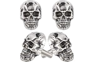 Temzzer Skull License Plate Bolts Anti-Theft Car Tag Frame Screws for Most Vehicle Motorcycle 4 PCS (Silver 2)