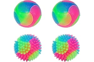 Rolin Roly Palla per Cani Luminosa LED Palla per Cani Atossico Resistenti ai Morsi Gioco di Addestramento Ideale per la Pulizia Dei Denti Dog Toy Ball (2PK Smooth+2PK Spiky Ball)