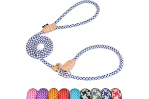 Grand Line Retrieverleine mit Zugstopp, 150 cm Moxonleine Reflektierende Hundeleine, Sicher Dauerhafte Trainingsleine Moxonleine für Kleine Mittlere und Große Hunde - 6mm, Blau-Grün