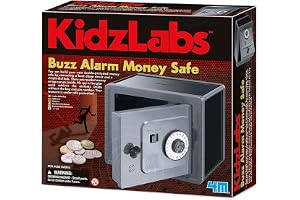 4M Spy Science Alarmed Safe Bank