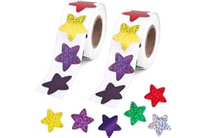 FINEASY 1000Pcs Stickers for Children,2 Rolls Reward Stickers Metallic Colorful Star Stickers for Kids,Roll Star Shape Self Adhesive Label for DIY Crafts Teachers Parents School (Star)