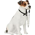 Lesser & Pavey Sitting Walkies Jack Russell, White, H17cm