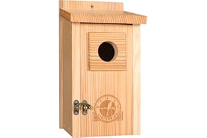SISTERBIRD Bird Houses for Outside, Cedar Birdhouse, Bluebird Houses, Wooden Birdhouses for Outdoor, Blue Bird House for Outside Clearance, Open House, Nesting Box, Assembly Required Beige