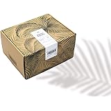 Bonsai Starter Kit für Anfänger I ALL-IN-ONE Plantbox I 24-teiliges Pflanz-Set inkl. Samen, Bambus Topf & Werkzeug I Geschenk