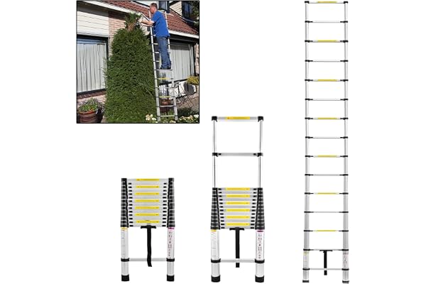 Lars360 Échelle télescopique multifonction, extensible, échelle simple, en aluminium de qualité supérieure