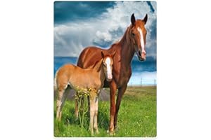 Violetpos gruby koc miękki ciepły przytulny flanelowy koc na sofę narzuta dwa konie stoi na trawie niebieskie niebo 150 x 200 cm