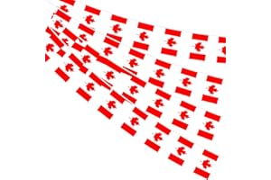 AhfuLife Canada Flag Bunting for Canada Day Party Decorations, 10m - 30pcs Canadian Flags Bunting Banner Double Sided Flags for World Cup Sports Event Indoor Outdoor Decorations (14 x 21 cm - 1 Pack)