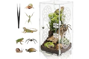 DARENYI Acryl Reptil Terrarium, 30 x 15 x 14cm 360° Transparente Faunabox Enthält Pinzette, Atmungsaktiv Reptilien Aufzuchtbox, Reptilien Fütterungsbox für Springspinne, Eidechsen, Schnecken, Insekten
