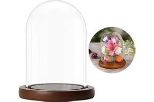 BELLE VOUS Campana in vetro con base marrone in legno, 9,4 cm di altezza, mini campana in vetro trasparente per luci, piante, decorazione da tavolo