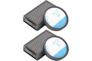 Funnytime Filtro HEPA per aspirapolvere ciclonico Rowenta Powerline Extreme RH8021WB RH8037WA RH8055WA RH8121WB RH8133WA RH8147WA RH8155WA RH8165WA, (Confronta ZR903601), 2 set