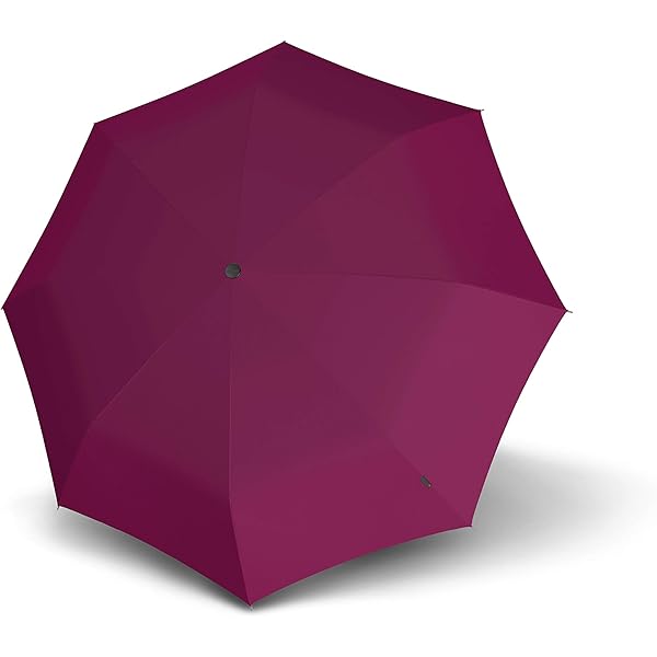 Parapluie Knirps Noir - Compact Et Ultra-Résistant Au Vent (jusqu'à 80 Km/h)