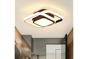 EIDISUNY Modern Ceiling Light LED Elegant Squares LED Ceiling lamp Nordic Fashion White Black Ceiling lights Fixture for Aisle Stairs Hallway Porch Kitchen Bedroom Living Room - Warm White Light 21W