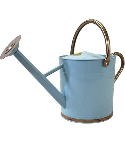 Behrens Metalware Classics 2.5-Gallons Silver Hot Dipped Galvanized Metal Classic Watering Can 00457 At