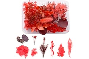 WJIAEER Flores naturales secas en relieve Flores preservadas Resina DIY Joyería Vela Arte de uñas Artesanía Scrapbooking Decoración floral（O）. (A)