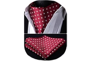 HISDERN Corbata Ascot y Pañuelo Para Hombre Conjunto Corbatas Con Pañuelos Paisley Floral Regalo Boda Elegante Clásico Para Fiesta Business