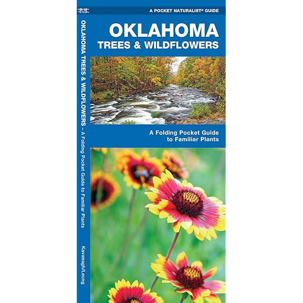 Buy Oklahoma Trees Wildflowers A Folding Pocket Guide To Familiar Species Pocket Naturalist Guide Series Book Online At Low Prices In India Oklahoma Trees Wildflowers A Folding Pocket Guide
