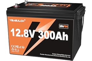 Yeagulch Batteria Litio LiFePO4 12V 300Ah, 3840Wh, 4000-15000 Cicli, con BMS 200A, Batterie Lithium per Sistemi Solari Camper Accumulo Domestico e Applicazioni Off-Grid