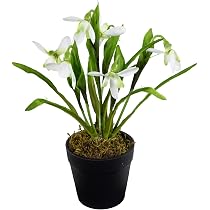 Seidenblumen Roß Schneeglöckchen 22cm weiß im Topf FI Galanthus Kunstblumen künstliche Blumen Pflanzen