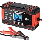 Husgw 8A Caricabatteria da Auto, 12V / 24V 8A Carica Batteria Moto Multi Protezioni e Mantenitore,Intelligente Schermo LCD Ca