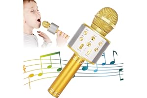 KIDWILL Microfono Wireless Bluetooth Karaoke, 5 in 1 Portatile Radio FM Karaoke Mic Speaker Player Recorder per Bambini Adulti per Festa di Compleanno KTV Ideale per iPhone Android iPad PC (Oro)