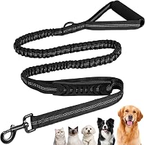 Guinzaglio Per Cani 4 In 1 - Doppia Lunghina In Nylon Rimovibile, Impugnatura Imbottita, Per Passeggiate, Jogging, Controllo Più Cani