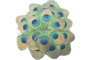 MWOOT 20 Piezas Plumas Pavo Real Naturales, Plumas Decoracion Manualidades para Bricolaje Carnaval Mascarada Partido Disfraz Vintage Cabello Accesorios, Plumas para Arte Proyecto Hechas a Mano