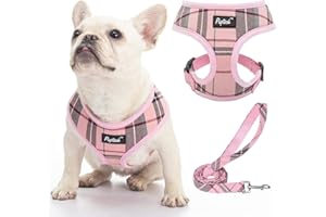 PUPTECK Dog Harness Small Dog Soft Mesh Pet Puppy Cat Comfort Padded Vest No Pull Harnesses and Leash Set