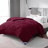 WAVVE Duvet Filling 240 x 260 cm for 180/160/200 Beds, 300 g/m&sup2; Fibre Duvet, Lightweight, Soft, Breathable (260 x 240 cm, Bor