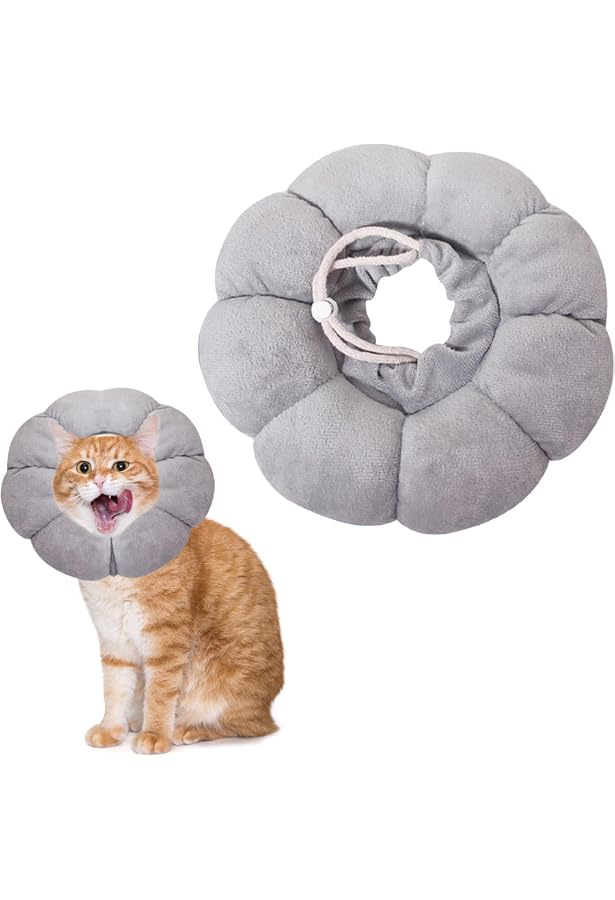 Collerette Pour Chat Anti-léchage - Confortable Et Ajustable - Taille S - Design Fleur
