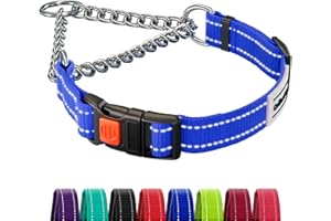 CollarDirect Reflective Dog Collar Martingale Collars Side Release Buckle Chain Training Adjustable Pet Collars (L, 41-54 cm, Blue)