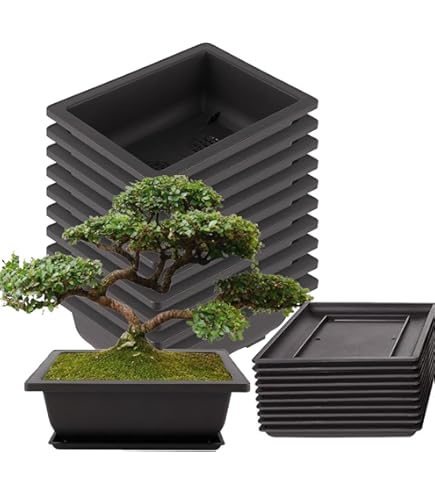 Pinus Bonsai x5 deluxe kunstplant op voet 80cm - UV bestendig