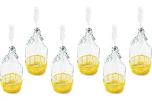 WYSKONT Enghals - Botellas de cristal transparente con tapón de clip (6 unidades, 5 L)