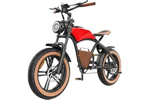 EALIRIE Electric Bike 20 * 4" Fat Tire 40-60KM, 25KM/H, 12.5Ah Winter Snow Beach Hill Mountain Bike Electric Bicycle, Dual Disc Brakes & Shocking Proof for Commute Adults Teens Old Boy b10 ebike