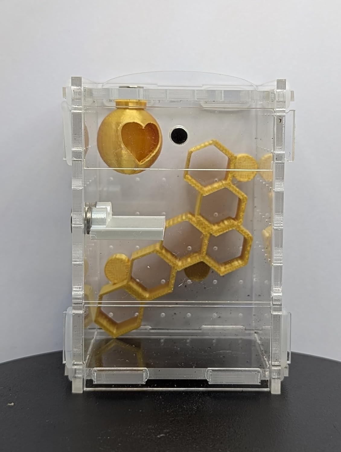 Jumping Spider Enclosure Full Setup with Decor included! Suitable for slings, pet spider, front opening, very secure 6cm X 6cm X 9cm Kit 360 Viewing (Gold)