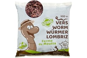 Moutta | 250 GR de vers de Compost | vers de Terre Vivants Eisenia, compostez Vos déchets organiques - pour lombricomposteur/composteur/Jardin