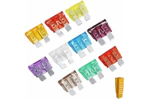 Neoreser 10pcs Fusible Voiture, Fusibles Voiture Moyenne, 10 Spécifications Fusible Auto: 1A- 40A, Ensemble de Fusibles de Lame de Camion de Voiture Standard Assortis