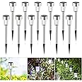 LEDGLE 12 x LED Luci Solari per Giardino Con Efficiente Pannello Solare Impermeabilità IP44, Batteria Integrata, Luminarie da