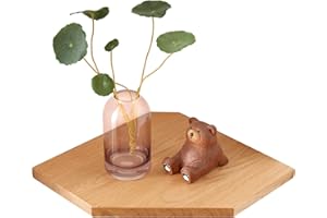 OAKERLAND Mensola angolare in legno di quercia, mensola angolare da parete con foro per cavi, piccola mensola angolare sospesa per piante, camera da letto, soggiorno, cucina