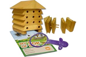 Wildlife World Minibug Ruche Abeilles Solitaire pour Enfants