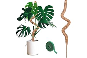 BECHOICEN Moss Pole 160 cm Bendable Moss Poles for Plants 1 Pcs Moss Pole for Monstera Coir Totem Pole for Climbing Plants Support Outdoor Indoor Plant with Two-Meter Velcro for Potted Plants to Grow Upward