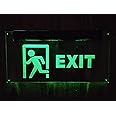Acrylic EXIT Glow Sign Board with LED Lights, Size 10 x 6.5 inch, Direction-None, from Aarushi Creations (1 Year Warranty)