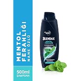 BLENDAX Erkekler i&ccedil;in Mentol Ferahlığı Nane &Ouml;zl&uuml; Şampuan, 500 ml