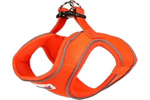 Doodlebone Snappy Harness, Tangerine, 2