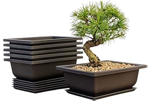 MOOLLYFOX Mollyfox Lot de 6 Pot Bonsai Rectangulaire, 16x12x6cm, Pot pour Bonsai en Plastique avec Trous de Drainage et soucoupes, Pot de Fleur et de Plante décoratif pour Jardin, Cour, Chambre, Balcon Pot
