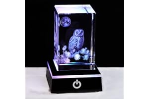 Ornalrist 3D Crystal Engraved Owl Figurines Ornaments Housewarming Gifts for Friends Glass Owl Decor with LED Stand Graduation Gifts